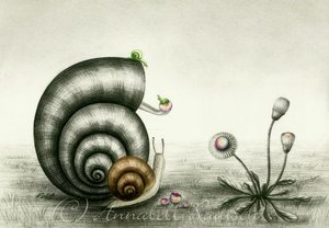 K800_Schneckchen 13 cr.JPG