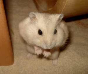 DSC08298.JPG DSC08298.JPG