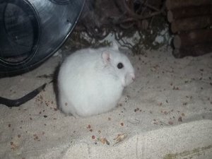 gh100_1848.JPG gh100_1848.JPG