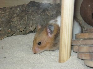 Kamera 081.JPG Kamera 081.JPG