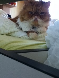 IMG_0908 kleiner.jpg IMG_0908 kleiner.jpg