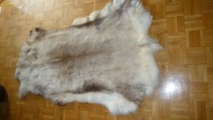 Fell komp. 1.jpg Fell komp. 1.jpg