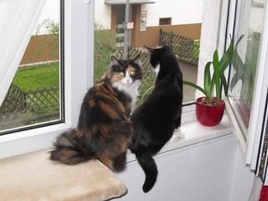 IMG_2555.jpg IMG_2555.jpg