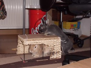 CIMG1445 - Kopie (2) - Kopie.JPG