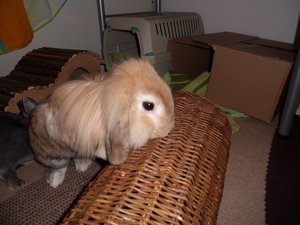 CIMG2283 - Kopie.JPG