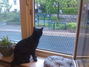 581357_10151070794318636_590628635_13493261_1613753254_n.jpg 581357_10151070794318636_590628635_13493261_1613753254_n.jpg