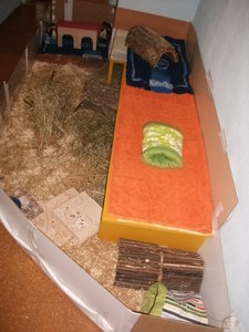 dscf0910.jpg dscf0910.jpg