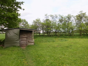 Kaninchenkäfig vorne 4.jpg