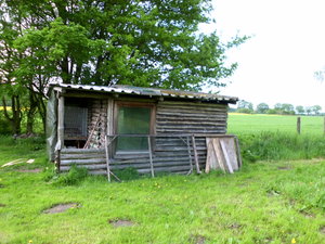 Kaninchenstall rechte seite.jpg