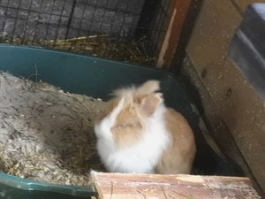 Bilder allerlei 245.jpg