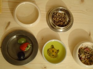 DSC01850 klein TF.jpg DSC01850 klein TF.jpg