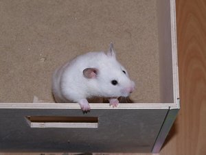 Sandbad kucken.jpg Sandbad kucken.jpg