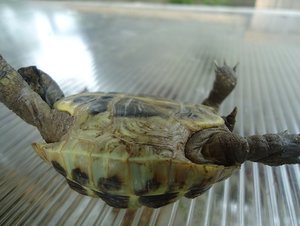 DSC01862 kleiner TF.jpg