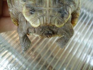 DSC01867 kleiner TF.jpg