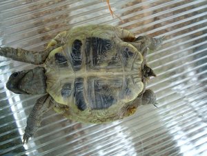 DSC01861 kleiner TF.jpg