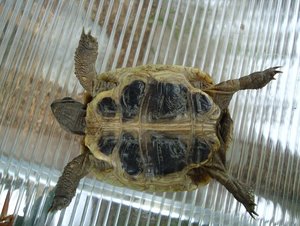 DSC01863 kleiner TF.jpg