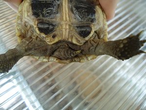 DSC01866 kleiner TF.jpg