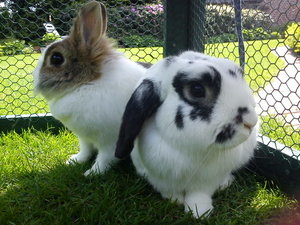 Maggie und Simon.JPG