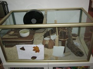 Krümle im Sand 022.JPG