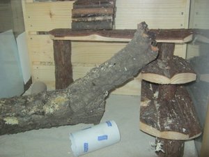 Krümle im Sand 010.JPG