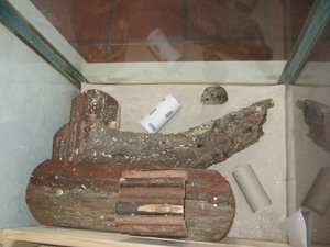 Krümle im Sand 025.JPG