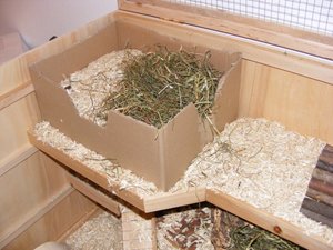 Dscf8272k.jpg Dscf8272k.jpg