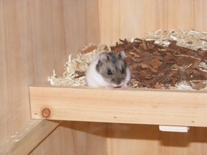 Dscf8294k.jpg Dscf8294k.jpg