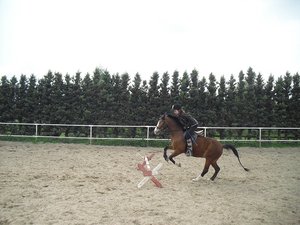 Reiten 030.JPG