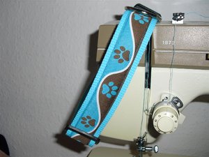 Pfotenpower türkis 18€ (2) (Mittel).JPG