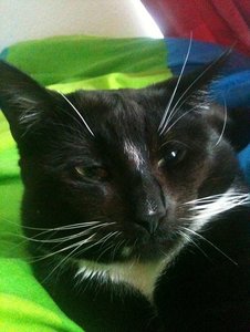 IMG_0006.JPG IMG_0006.JPG