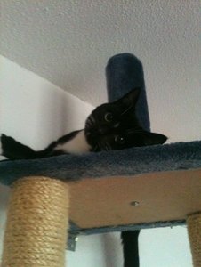 IMG_0015.JPG IMG_0015.JPG