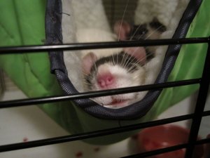 IMG_0138 (640x480).jpg