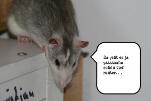 jacky text.jpg jacky text.jpg