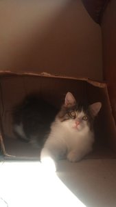 DSC01872.JPG DSC01872.JPG