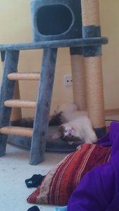 DSC01873.JPG DSC01873.JPG