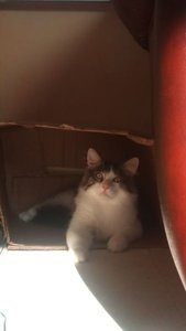 DSC01869.JPG DSC01869.JPG