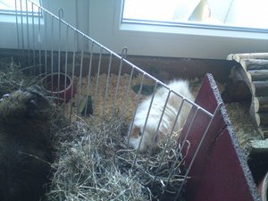 DSC01279 (640x480).jpg