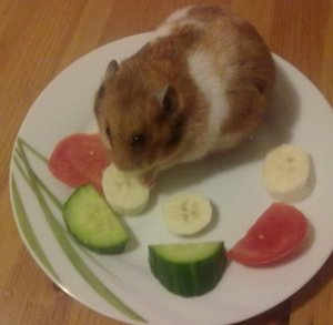 16012012794.jpg 16012012794.jpg