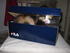 IMG_3113.jpg IMG_3113.jpg