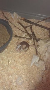 246a2282.m.jpg 246a2282.m.jpg