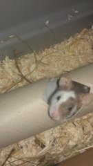 6fd102d0.s.jpg 6fd102d0.s.jpg