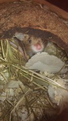 b9a52ab6.s.jpg b9a52ab6.s.jpg