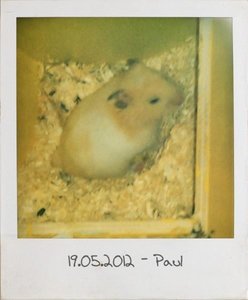 550693_447730398590012_100000591683990_1588149_212881580_n.jpg 550693_447730398590012_100000591683990_1588149_212881580_n.jpg