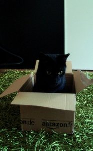 kiste3-001.jpg kiste3-001.jpg