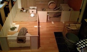 auslauf wohnzimmer.jpg