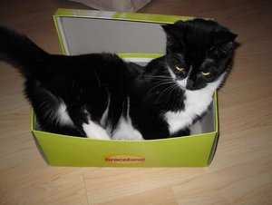 IMG_3138.jpg IMG_3138.jpg