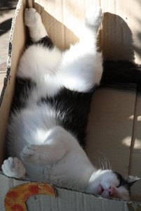 chico-castle.JPG chico-castle.JPG