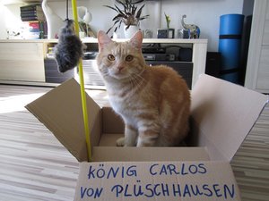 Kartonbild.jpg Kartonbild.jpg