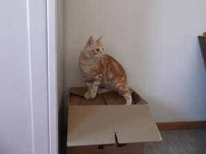 2igzjpc.jpg 2igzjpc.jpg