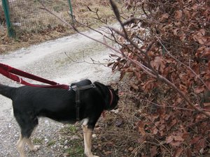 Dezember 2011 026.JPG